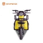 Electric Leisure Tricycle Z5