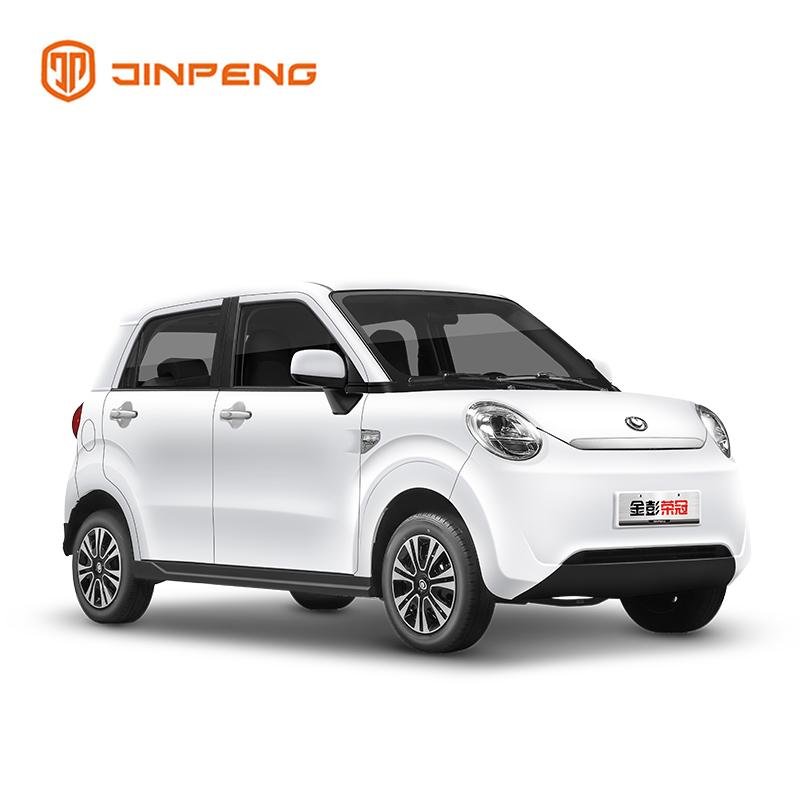 Low Speed Electric Car RG