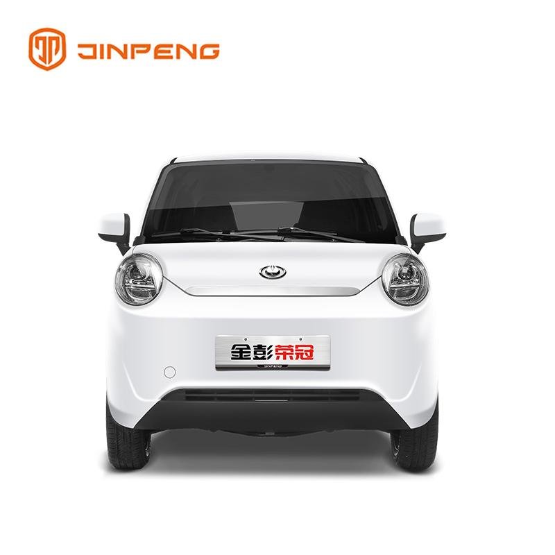 Low Speed Electric Car RG