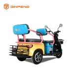 Electric Leisure Tricycle N10