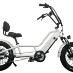 Electric Recumbent Bike
