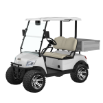 2 Seater Electric Lithium Battery Lifted Golf Cart DH-M2