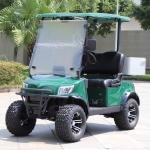 2 Seater Electric Lithium Battery Lifted Golf Cart DH-M2