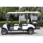 6 Seater Electric Lithium Battery Lifted Golf Cart DH-M4+2