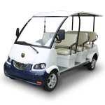 8 Seater Electric Sightseeing Bus DN-8