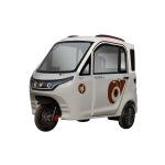 Cheap Energy Closed Body City Electric Car Small Electric Vehicle for Adults