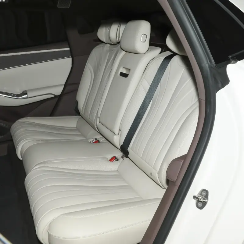 Denza Z9GT DM