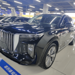 Used Hongqi E-HS9