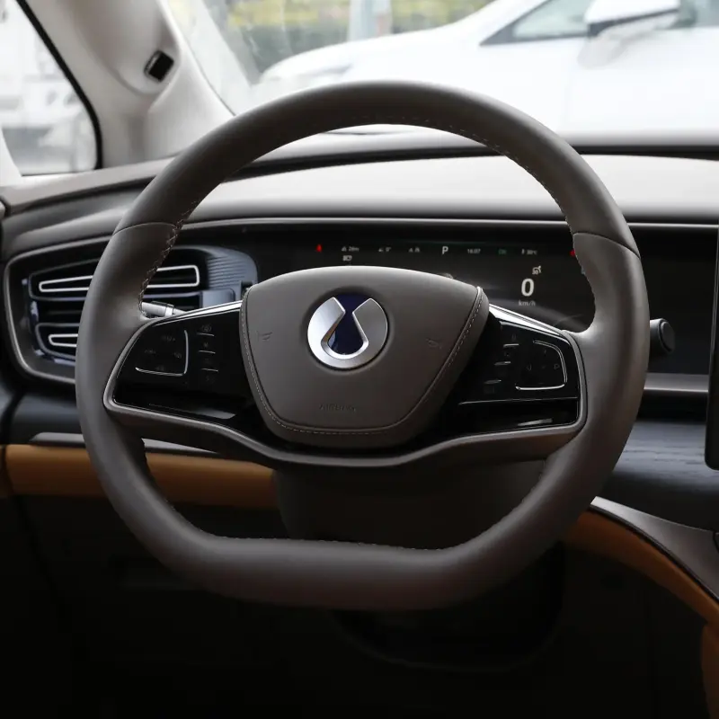 Denza D9 EV