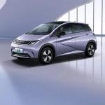 BYD Dolphin Electric Car