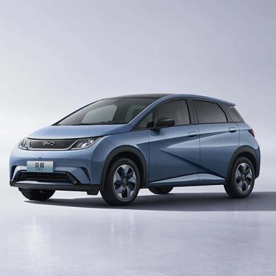 BYD Dolphin Electric Car