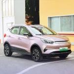 BYD Yuan Pro Electric Car