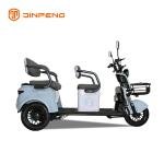 Electric Leisure Tricycle N8