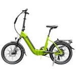Mini Electric Bike