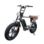Moped Style Electric Bike