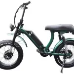 Dual Motor Fat Tire Electric Bike