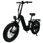 Belt Drive Electric Bike
