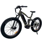 Mid Drive Electric Mountain Bike