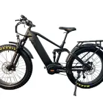 1000w Mid Drive Electric Bike