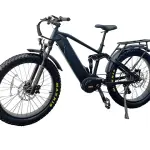 1000w Mid Drive Electric Bike