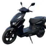 1500W Electric Motorcycle For Adults