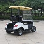 2 Seater Lithium Battery Golf Cart DG-M2