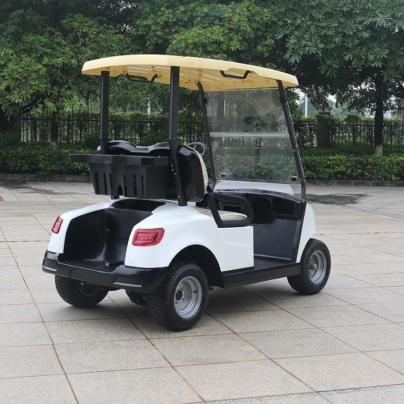 2 Seater Lithium Battery Golf Cart DG-M2