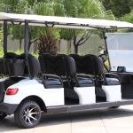 6 Seater Electric Lithium Battery Golf Cart DG-M6