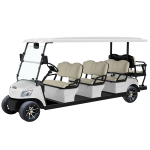 8 Seater Electric Lithium Battery Golf Cart DG-M6+2