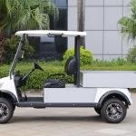 2 Seater Electric Lithium Battery Utility Golf Cart with Cargo DU-CA500