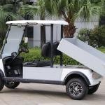 2 Seater Electric Lithium Battery Utility Golf Cart with Cargo DU-CA500