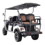 6 Seater Electric Lithium Battery Lifted Golf Cart DH-J4+2