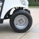 2 Seater Golf Cart DG-M2