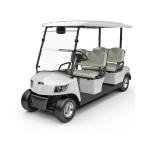 4 Seater Golf Cart DG-M4