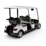 4 Seater Golf Cart DG-M4