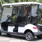 4 Seater Golf Cart DG-M4