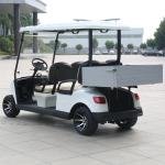 4 Seater Electric Golf Cart DG-M4S