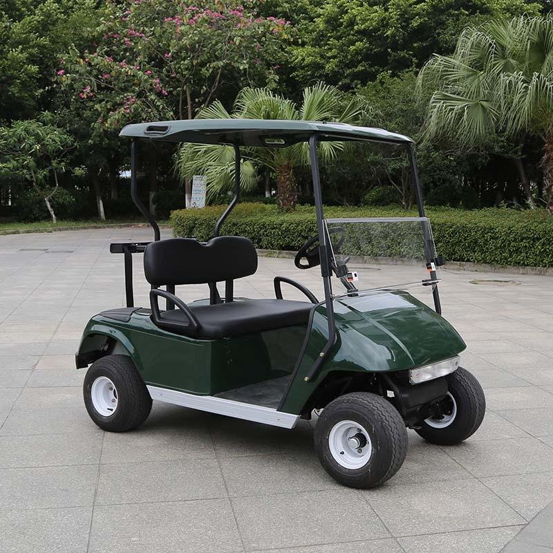 2 Seater Golf Cart DG-C2