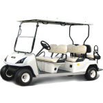 Electric Golf Cart DG-C4+2