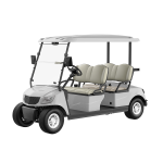 4 Seater Golf Cart DG-M4