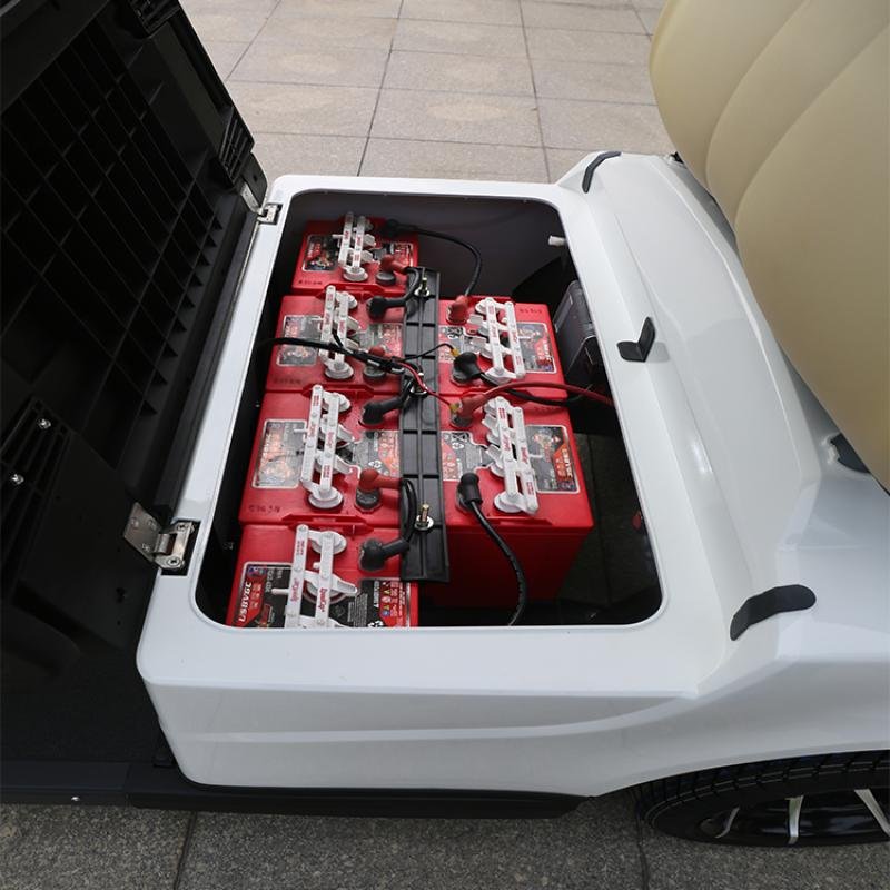 4 Seater Golf Cart DG-M4S