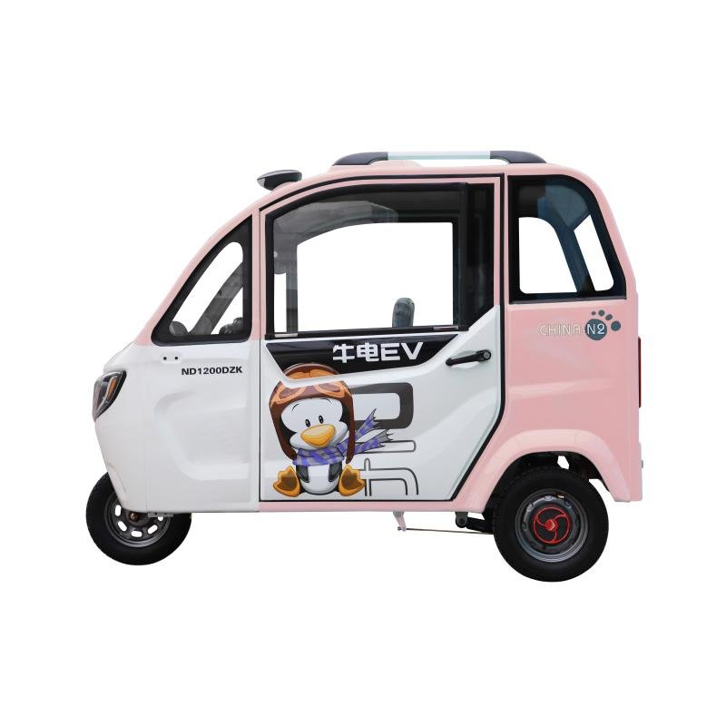 New Design Enclosed Body Electric Tricycle China 2 Doors Electric Tricycle for Adults
