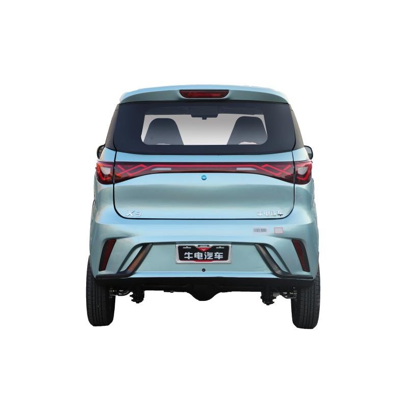 Customizable Manufacturer CE X9 Adults 4 Wheel Electric Car Auto Ev with 4 Seats