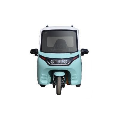 Cheap Energy Closed Body City Electric Car Small Electric Vehicle for Adults