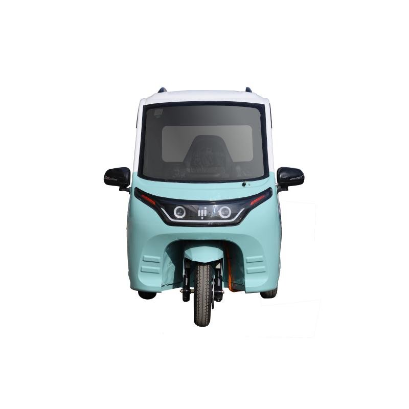 Cheap Energy Closed Body City Electric Car Small Electric Vehicle for Adults