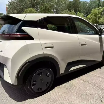Used BYD Seagull