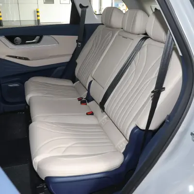 Chery Fulwin T9