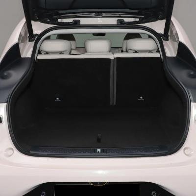 IM Motors LS6