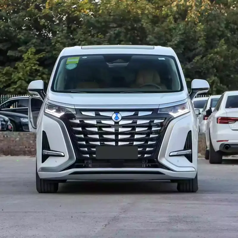 Denza D9 DM-i