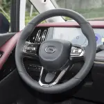 GAC Trumpchi E9 PHEV